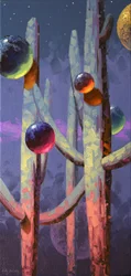 Saguaro : Nuit céleste