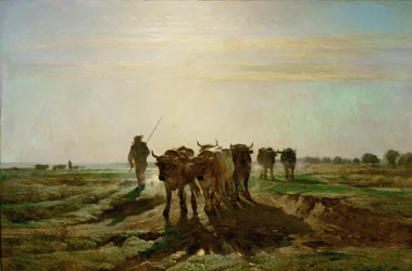 Boeufs se rendant au travail - bovins se rendant au travail, matin. 1855 ...