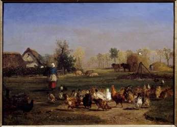 La provende des poules La basse cour