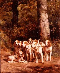 Chiens de chasse dans un paysage boisé