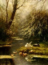 Canards dans un paysage