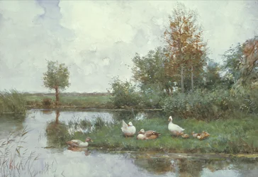 Canards dans un paysage fluvial