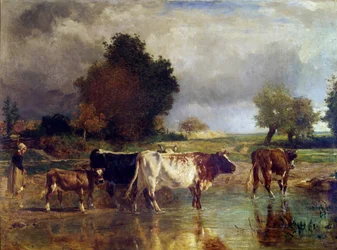 Vache et veau à l