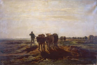 Paysage plat avec bœufs