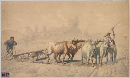 Quatre bœufs tirant une charrue, 1853