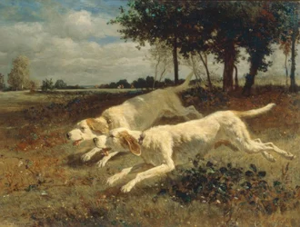 Chiens courant