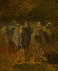 Étude inachevée de moutons