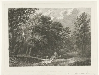 Paysage forestier avec pont en bois