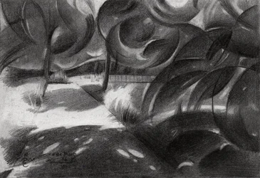 Lumière tamisée de la forêt