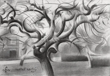 Arbre d