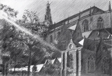 Saint-Bavo à Haarlem - 03/10/23