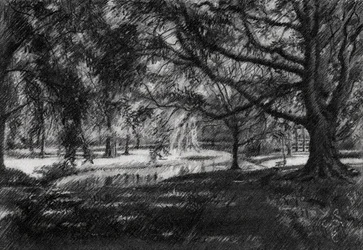 Allée du parc ensoleillée