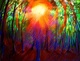 Lumière éclatante de la forêt