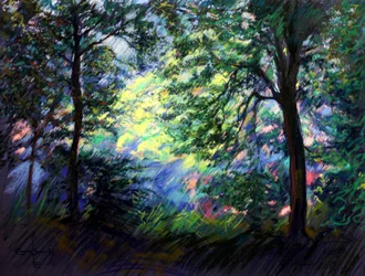 Lumière éclatante de la forêt