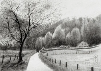 Chemin de campagne sinueux