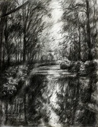 Sentier forestier sinueux