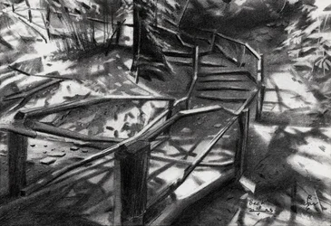 Escalier en colimaçon dans la forêt
