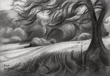 Le sentier sinueux des arbres