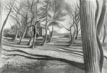 Ombres de la forêt en hiver