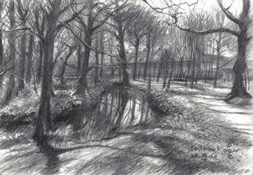 Ruisseau dans les bois en hiver