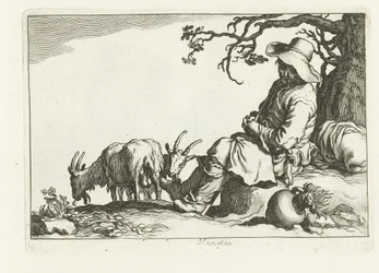 Berger de chèvres
