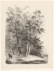 Deux figures se promenant dans une forêt