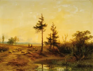 Un vaste paysage de lande