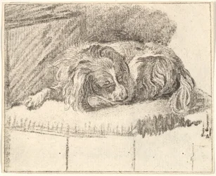 Chien endormi, 1777