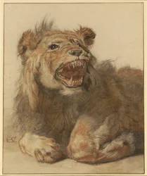 Un lion grondant, vers 1625-33