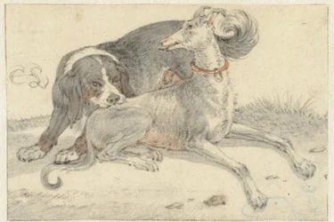 Lévrier et chien de perdrix