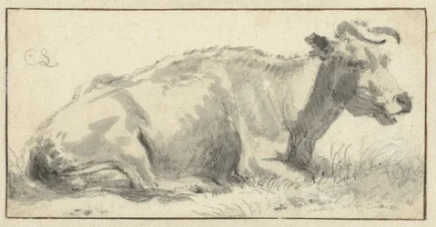 Vache couchée, vers la droite