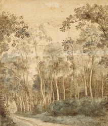 Paysage boisé