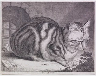 Le grand chat