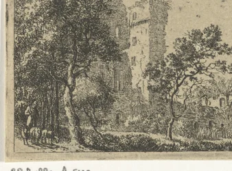 Ruine du château de Haar
