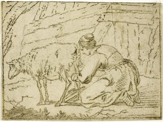 Femme trayant une brebis