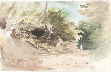 Un chemin boisé près de Ross