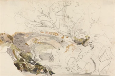 Pont et arbres