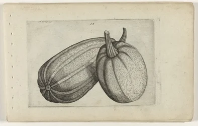 Deux melons