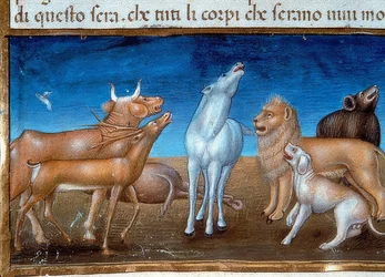 La fin du monde : Et les étoiles tomberont du ciel et les animaux auront peur