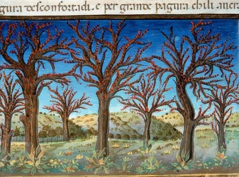 La fin du monde : les arbres seront couverts de sang