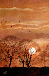 Coucher de soleil, Windsor, 2010
