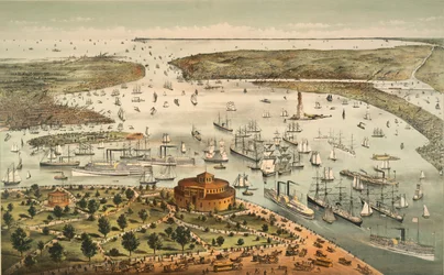 Le port de New York : Oiseau