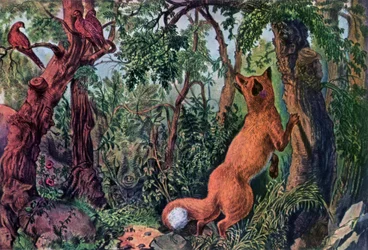 Le renard perplexe, 1872
