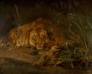 Tigre et proie, 1931