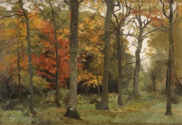 Feuilles d