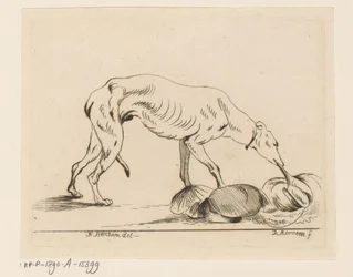 Chien mangeant