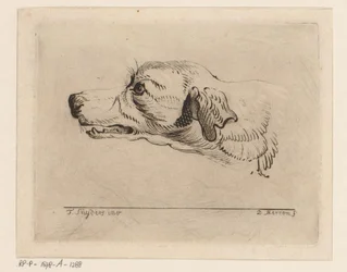 Tête de chien