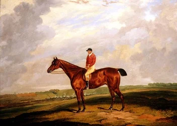 Cheval de course avec jockey