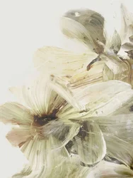 Fleurs des collines 1