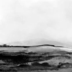 Paysage Mono n° 1
